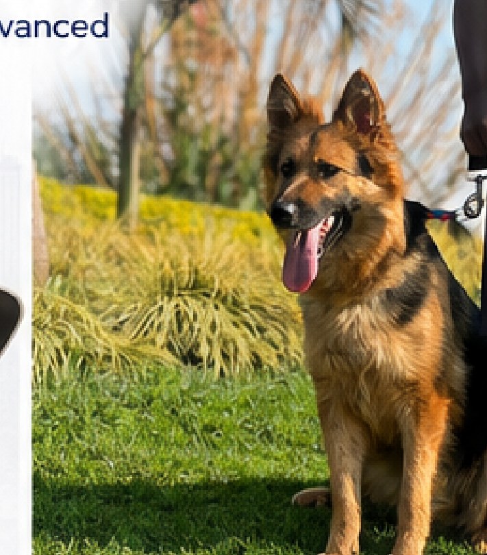 K9 patrol support unit