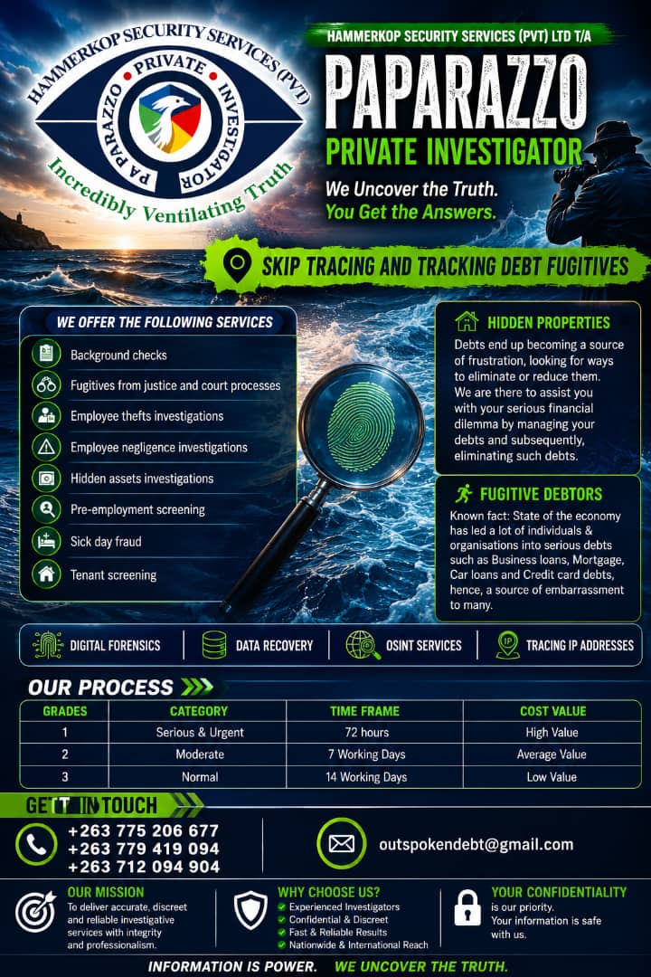 Paparazzo Private Investigator — services flyer