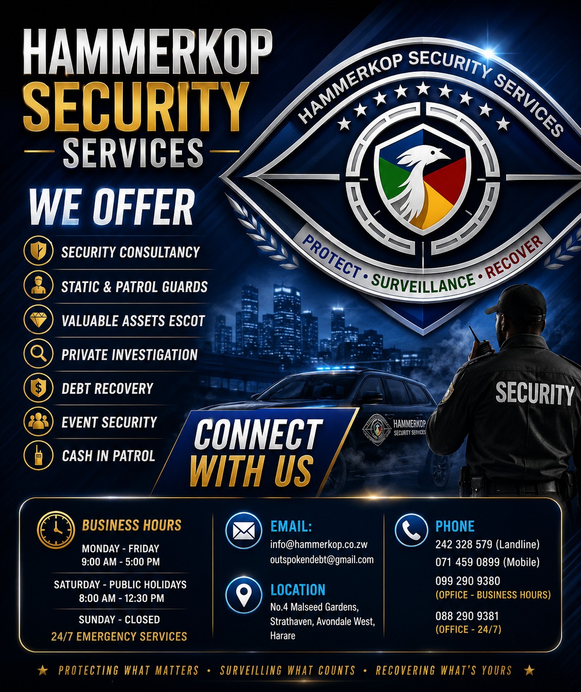 Hammerkop Security — what we offer